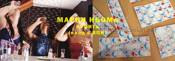 стафф Нефтекумск