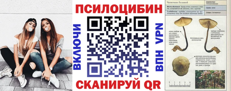 Купить  Кропоткин  Галлюциногенные грибы Psilocybe 